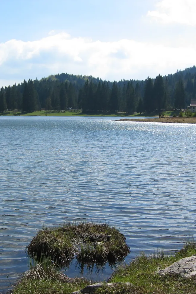 Lac Genin