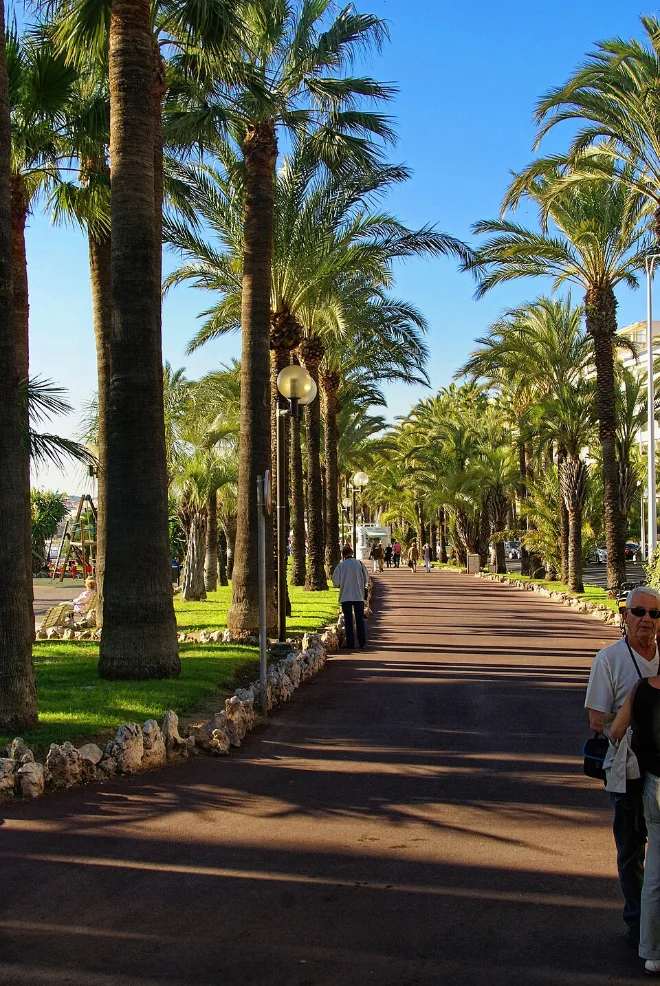 Cannes Croisette