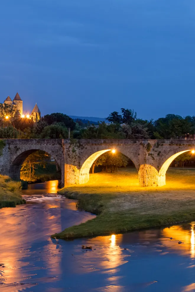 Cité de Carcassonne
