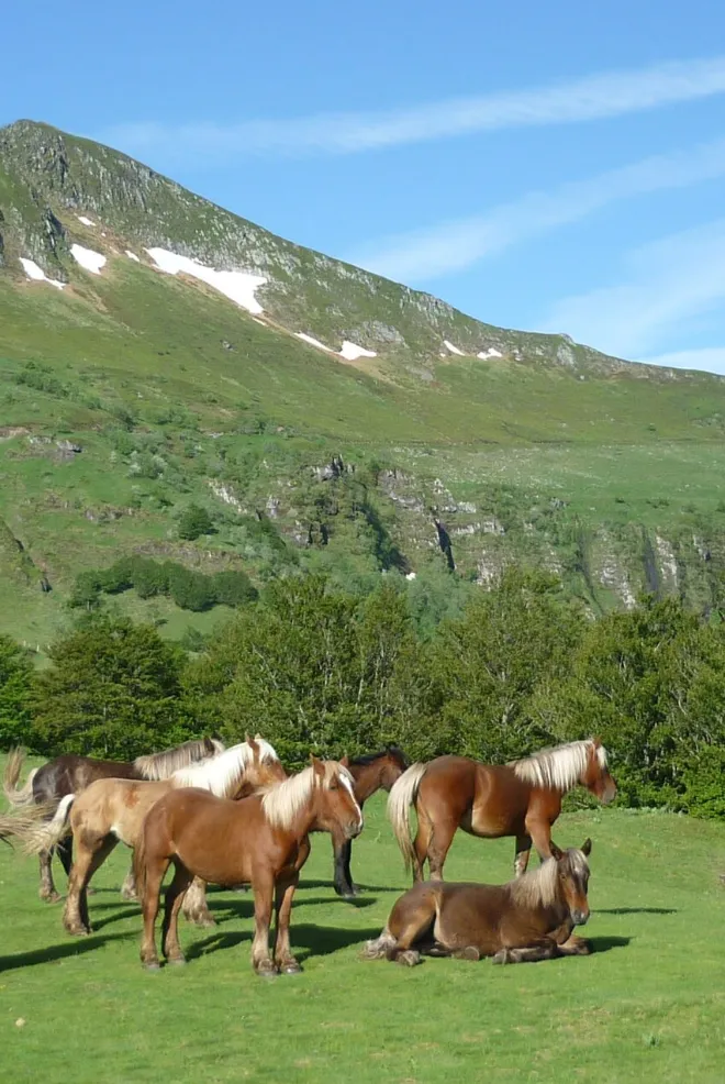 Puy Mary