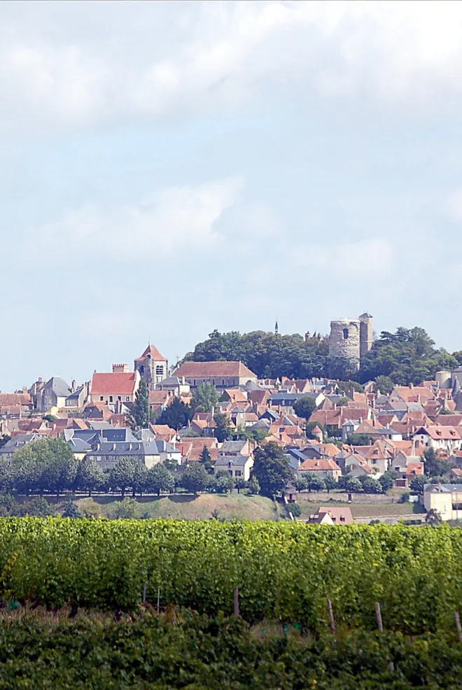 Sancerre