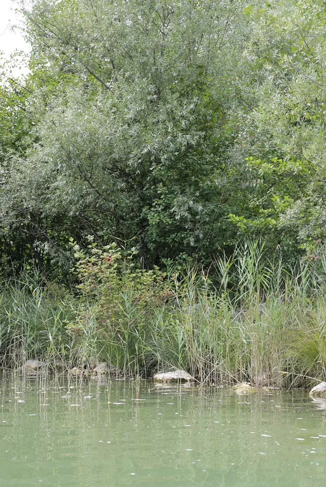 Lac de Paladru