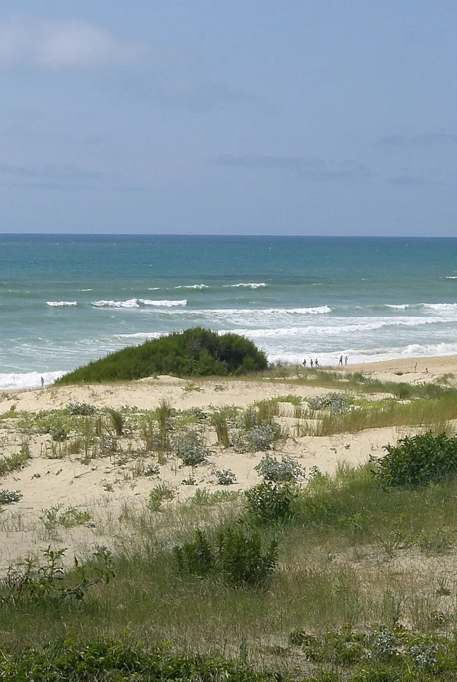 Seignosse dunes plage