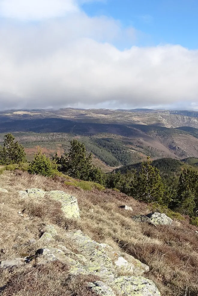 Mont Lozère