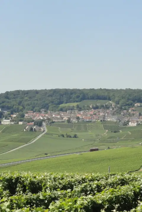 Hautvillers