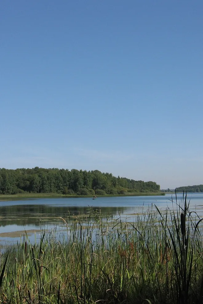 Lac de Madine