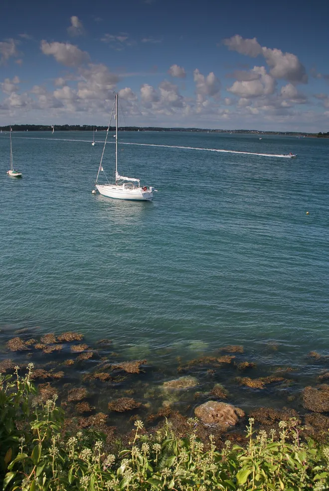 Golfe du Morbihan