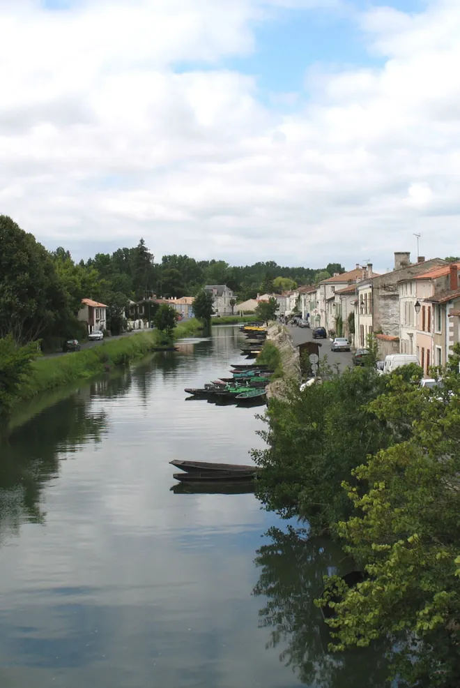 Marais poitevin Coulon