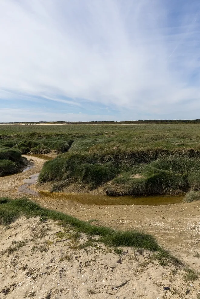 Baie de Somme