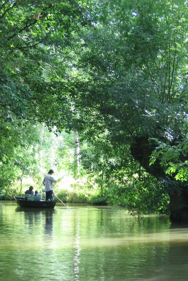 Marais poitevin