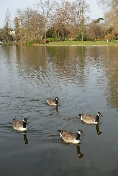 Bois de Vincennes lac