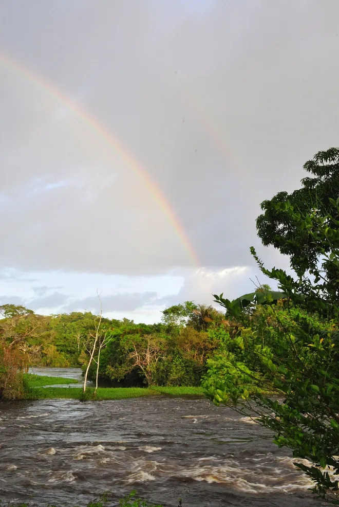 Maroni fleuve