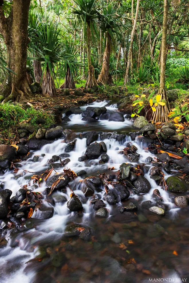 Anse des Cascades