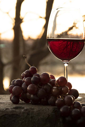Gironde - Verre_Vin