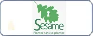 Sésame 13 - Replantez des arbres autour de votre habitat