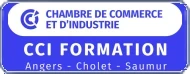 CCI Formation 49