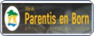 Mairie Parentis en Bornze